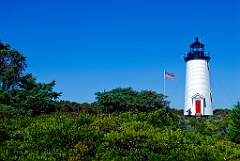 Green Brush Surrounds Cape Poge Light on Marthas Vineyard